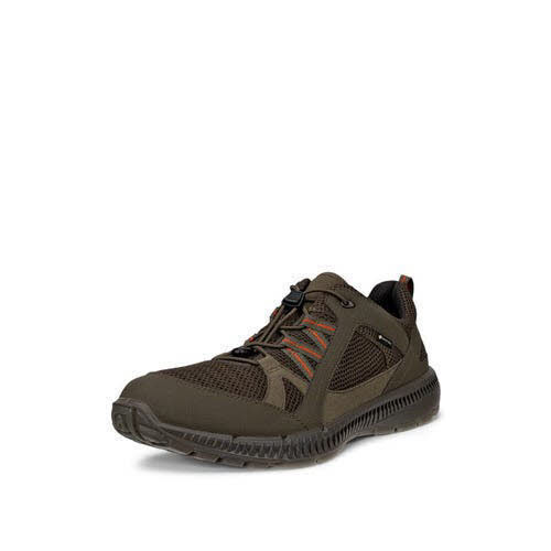 Ecco TERRAC Trekkingschuh Braun