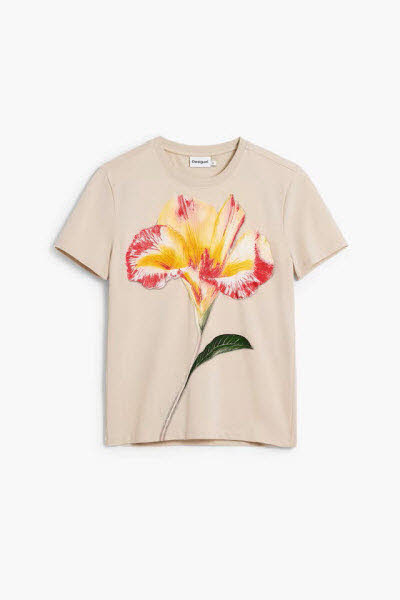 Desigual T-shirt Beige - Bild 1