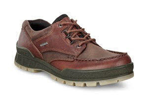 Ecco Track 25 Bi Trekkingschuh Mittelbraun - Bild 1