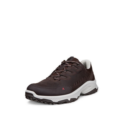 Ecco RECEPTOR Trekkingschuh Braun