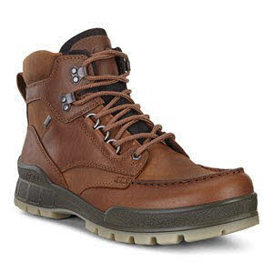 Ecco Track 25 Bi Trekkingstiefel Braun - Bild 1