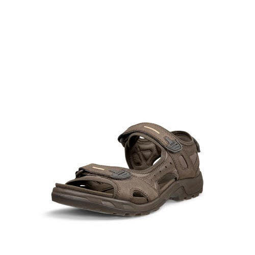 Ecco Mens Y Sandale Braun - Bild 1
