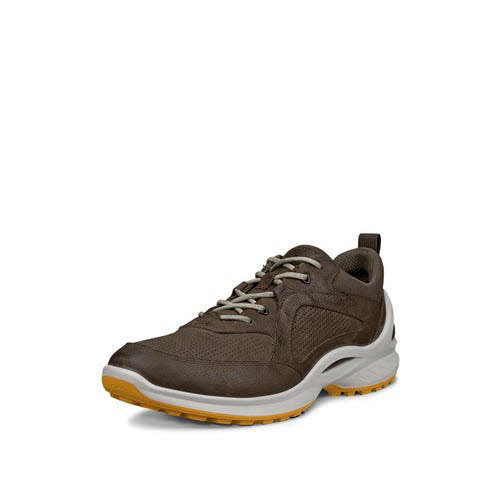 Ecco BIOM E Sneaker Braun